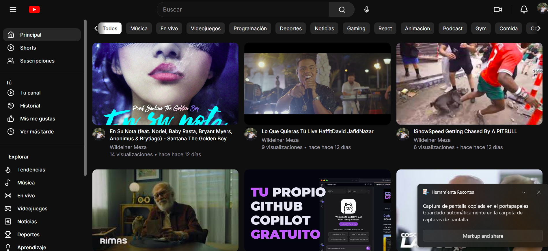 Proyecto 1